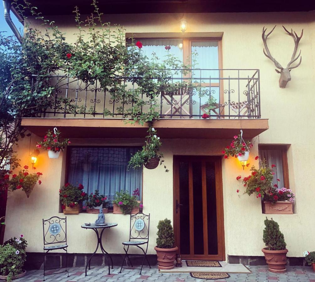 Hotel Casa Rosca à Sighişoara Extérieur photo